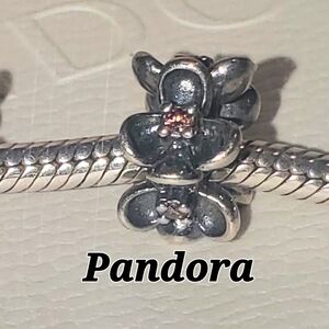 Pandora Wanda's Garden Charm  CZ Tourmaline.